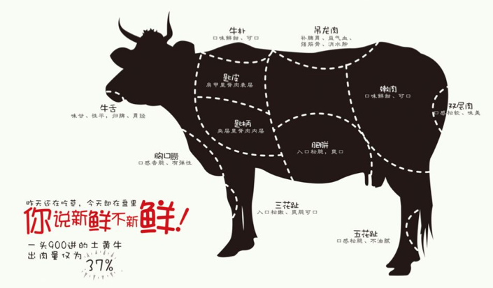 【品牌策劃公司】為牛肉產(chǎn)業(yè)品牌營銷策略